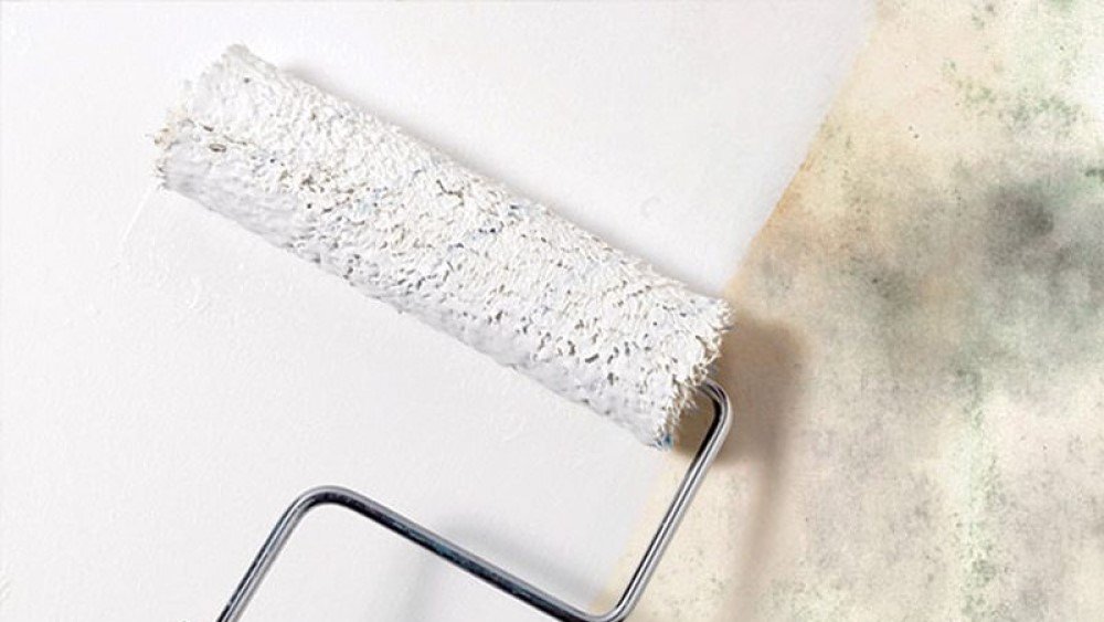 Antifungal Wall Painting Services in Dubai