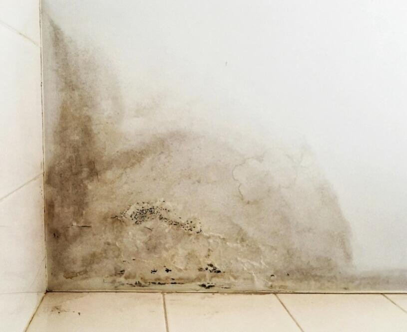 Antifungal Wall Painting Services in Dubai