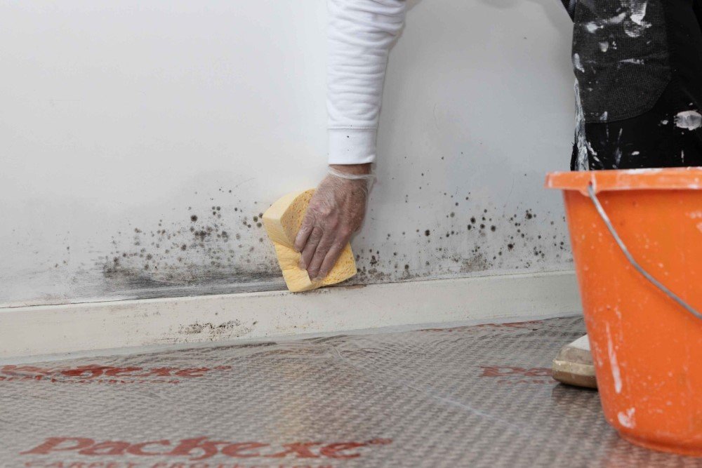 Antifungal Wall Painting Services in Dubai 5